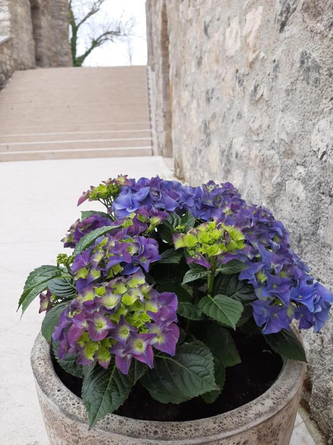 Vinica Castle Hotel Kültér fotó